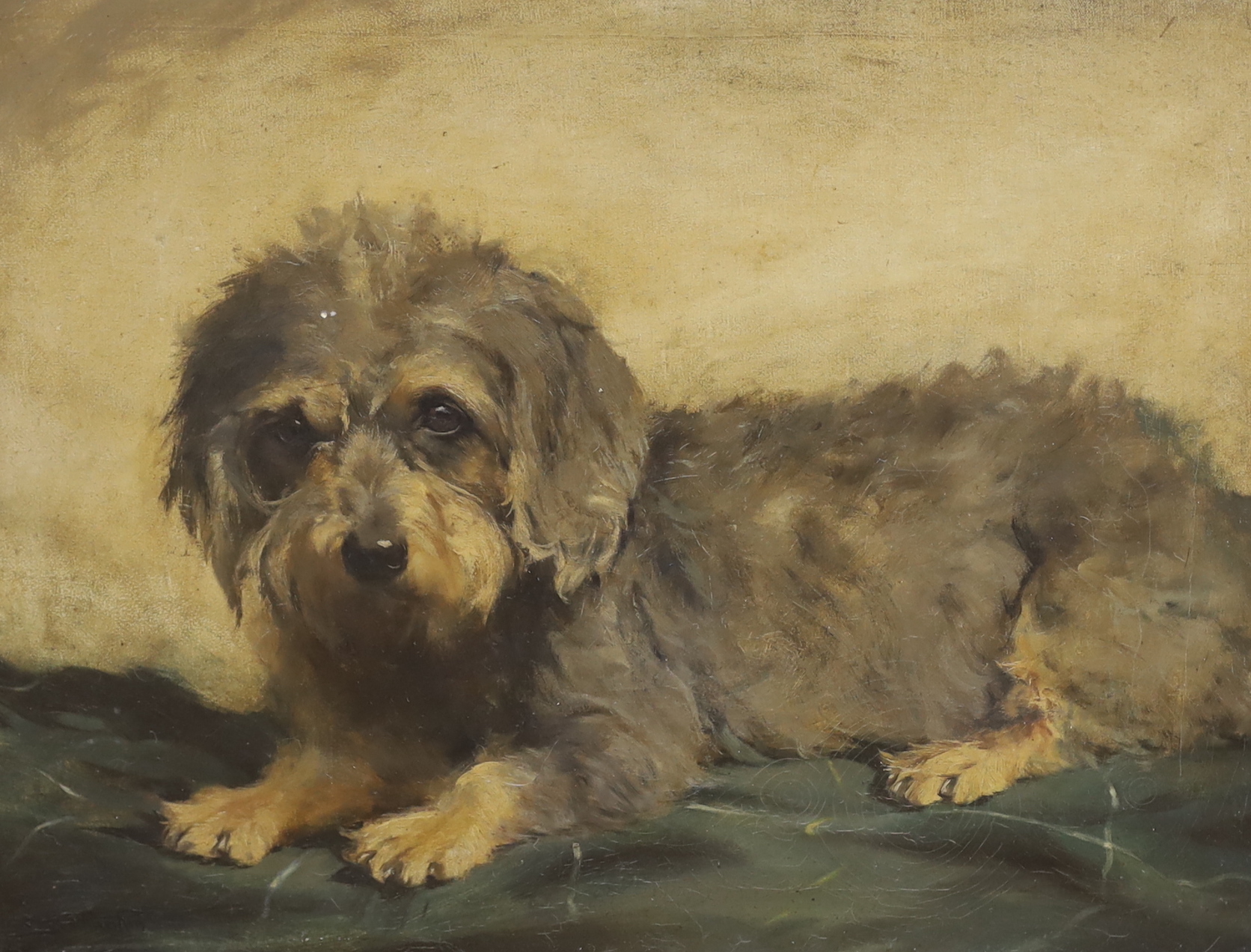 20th century English School, oil on canvas, Study of a Dandy Dinmot, indistinctly signed lower left, A Morelli label verso, 34 x 45cm